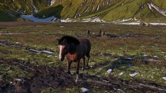 Horse Life: Find Horses in Open World, Survive in Wild Nature as a Foal or Pony — screenshot 7