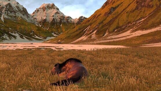 Horse Life: Find Horses in Open World, Survive in Wild Nature as a Foal or Pony — screenshot 8