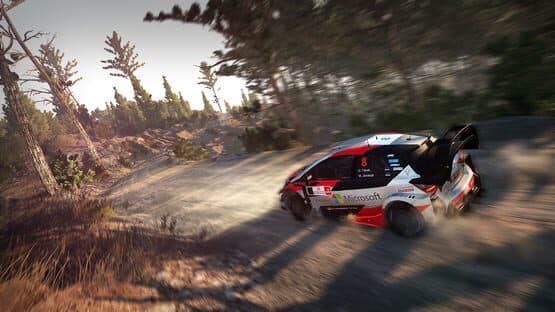WRC 8: Deluxe Edition — screenshot 4