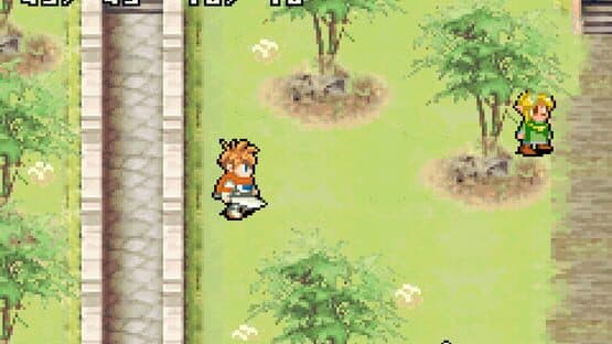 Shining Soul II — screenshot 4