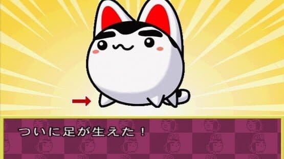 Quiz & Variety SukuSuku Inufuku — screenshot 1