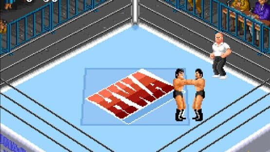 Super Fire Pro Wrestling 2 — screenshot 1