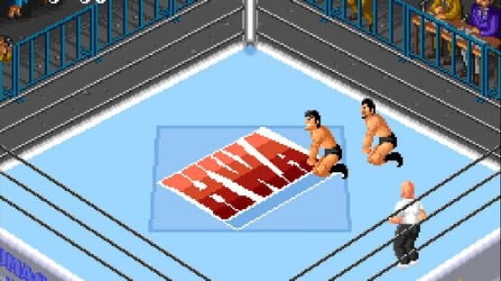 Super Fire Pro Wrestling 2 — screenshot 2