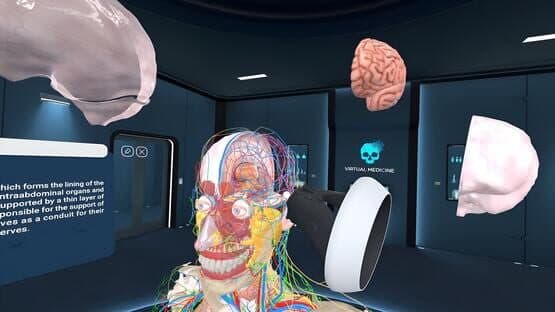 Human Anatomy VR — screenshot 2