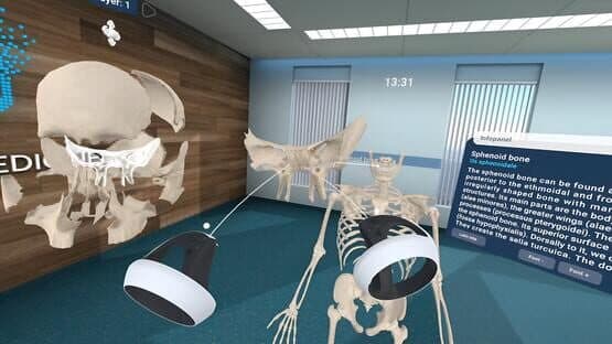 Human Anatomy VR — screenshot 5