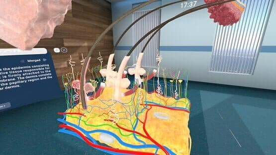 Human Anatomy VR — screenshot 6