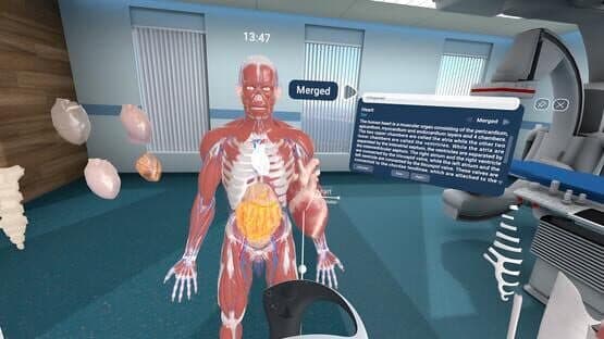 Human Anatomy VR — screenshot 7