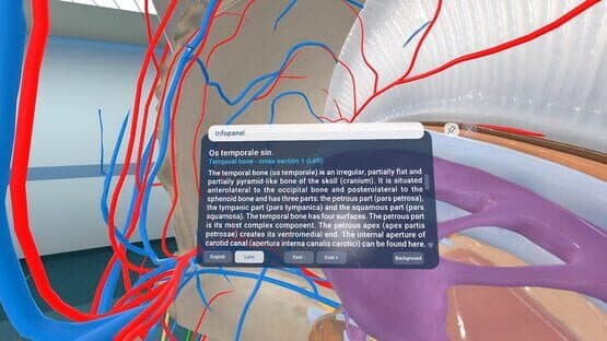 Human Anatomy VR — screenshot 8
