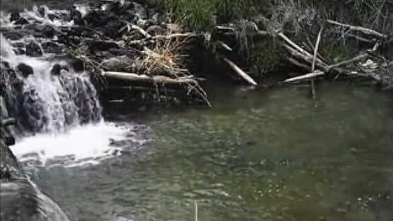 Reel Fishing — screenshot 2