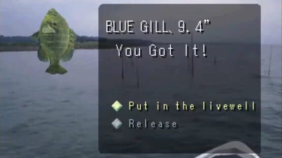 Reel Fishing — screenshot 3