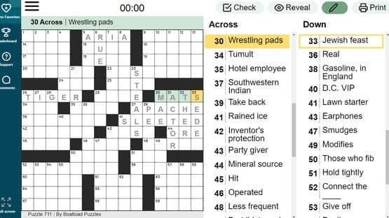 The Daily Crossword — screenshot 1