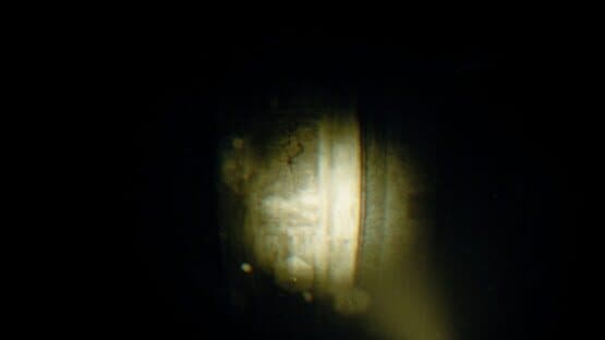 Rec: Beyond The Lens — screenshot 5