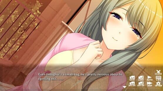 Elder Sister's Love Training — screenshot 3