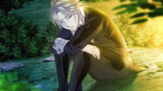 Hana Awase New Moon: Himeutsugi — screenshot 2