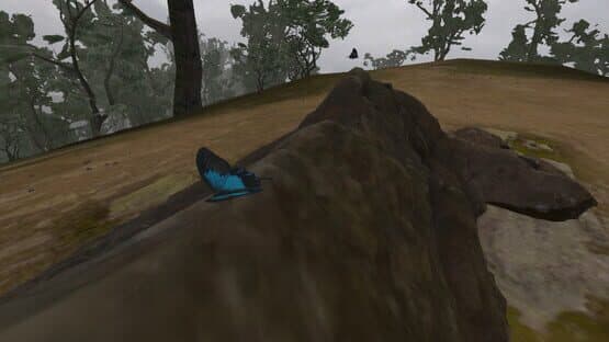 Lepidoptera — screenshot 4