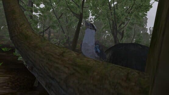 Lepidoptera — screenshot 5