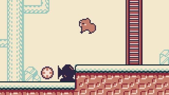 Capybara Quest — screenshot 1