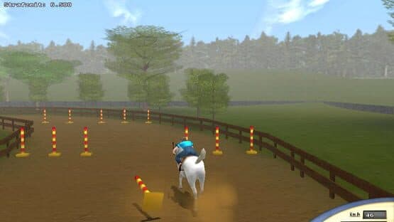 Championship Horse Trainer — screenshot 7