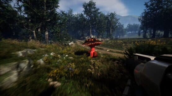 Forest Frenzy — screenshot 3