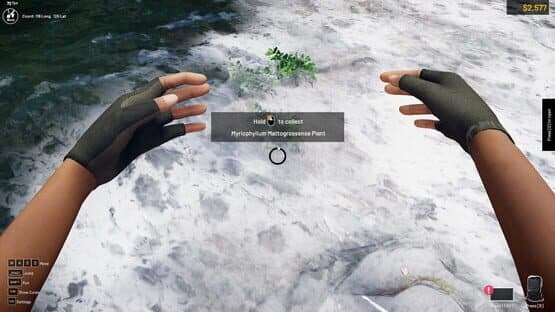 Aquascapers — screenshot 5