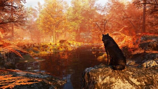 Wolf Simulator — screenshot 5
