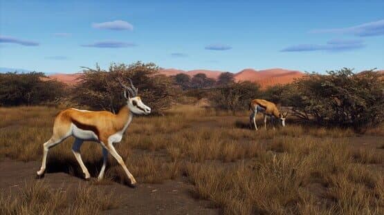 Way of the Hunter: Tikamoon Plains — screenshot 1