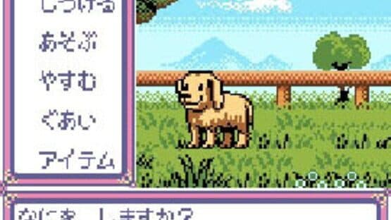 Kawaii Pet Shop Monogatari 2 — screenshot 3