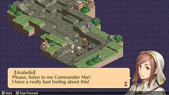Mercenaries Saga 3: Gray Wolves of War — screenshot 2