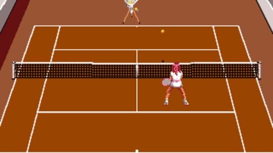 Pro Tennis Tour 2 — screenshot 2
