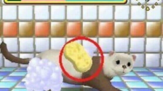 Pet Shop Monogatari DS 2 — screenshot 4