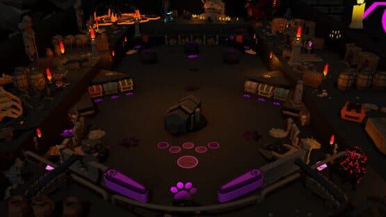 Roxy Raccoon's Pinball Panic: Medieval Mayhem — screenshot 1