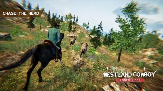Westland Cowboy: Rodeo Rider — screenshot 5