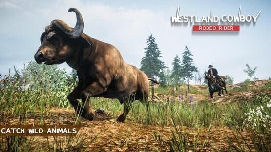 Westland Cowboy: Rodeo Rider — screenshot 7