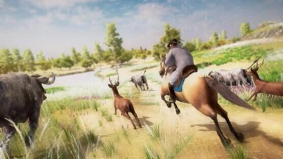 Westland Cowboy: Rodeo Rider — screenshot 8