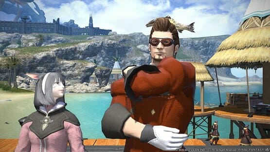 Final Fantasy XIV: Defenders of Eorzea — screenshot 3
