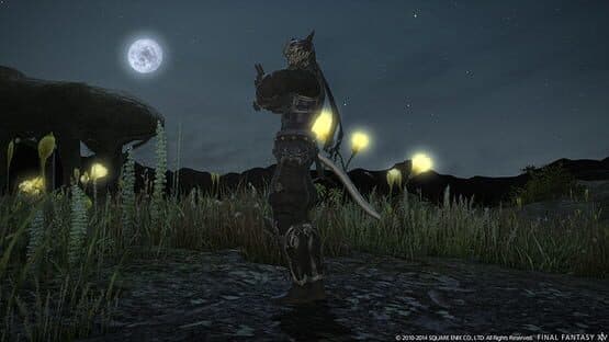 Final Fantasy XIV: Dreams of Ice — screenshot 5
