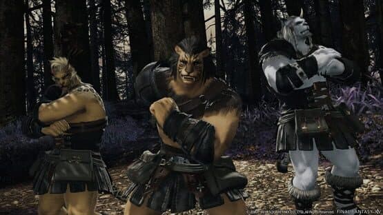 Final Fantasy XIV: Shadowbringers — screenshot 7