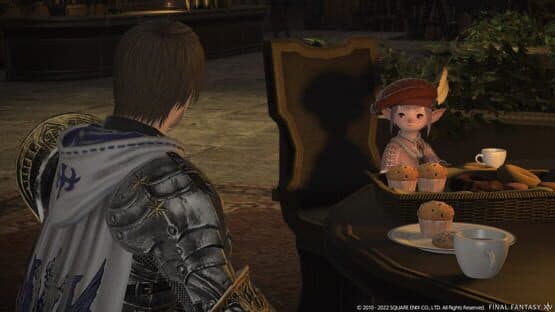 Final Fantasy XIV: Newfound Adventure — screenshot 1