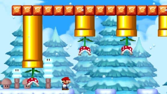 New Super Mario Bros. F — screenshot 3