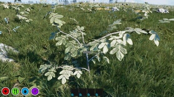 Your Journey of Survival — screenshot 1