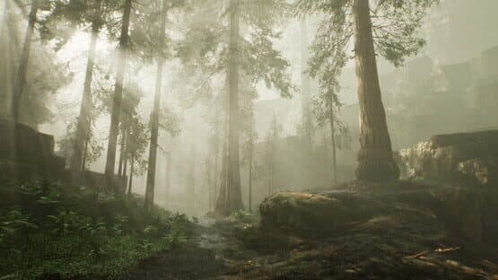 Black Powder Desolation — screenshot 8