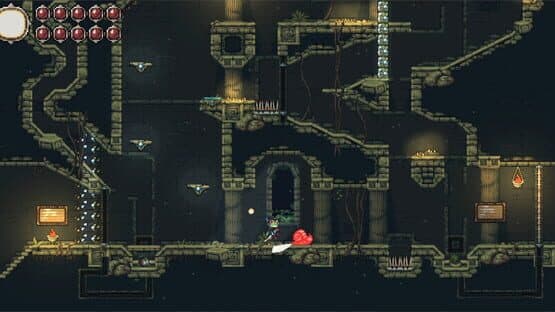 Frogreign — screenshot 2