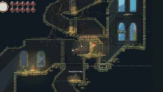 Frogreign — screenshot 5