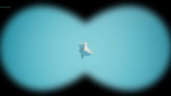 Bird Watching Simulator — screenshot 2