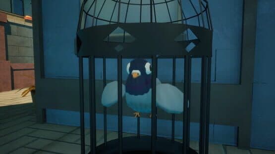 Bird Watching Simulator — screenshot 4
