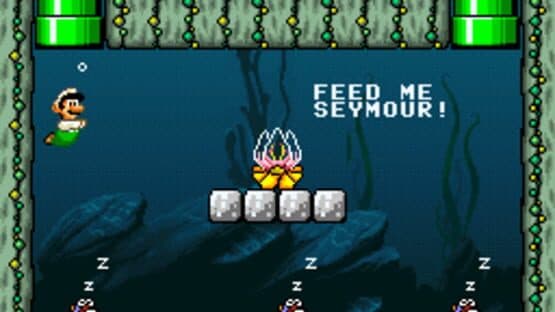Luigi's Misadventures 3: Recipe for a Disaster — screenshot 4