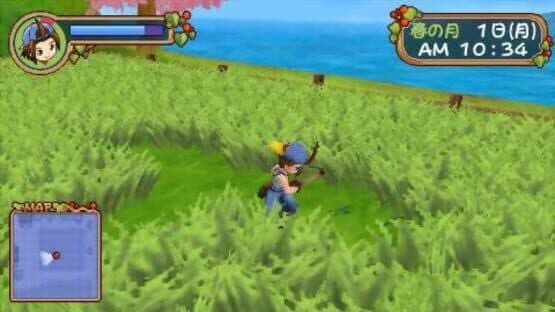 Harvest Moon: Hero of Leaf Valley — screenshot 8