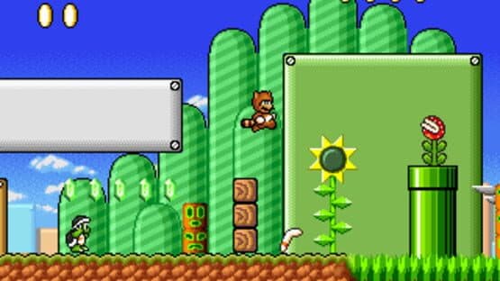 Mushroom Kingdom Fusion — screenshot 1
