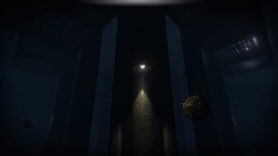 Akui: The Insane Cultists — screenshot 2