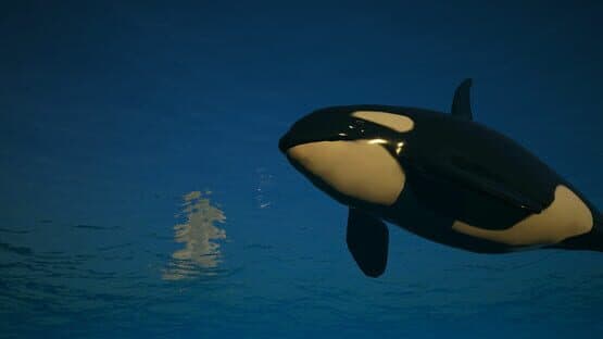 Get Them Boats: Orca Revenge — screenshot 4
